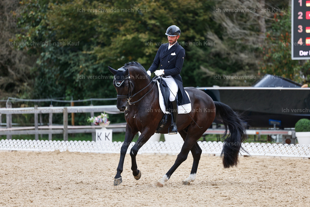 12-047-DRESSUR  S___  -StoibPH-5330 | working equitationturnier fotograf videograf stoibphotography marixx film working equitation deutschland reitsport turnierfotografie eventfotografie equestrian events