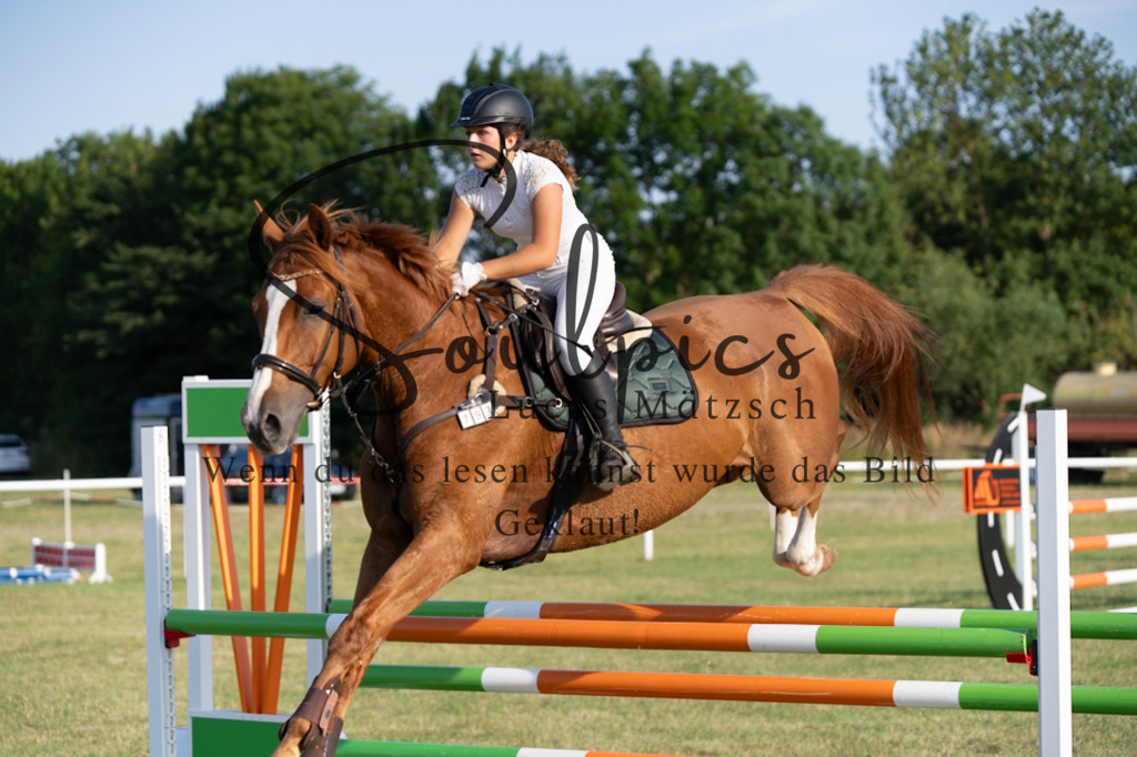 A7V00932 | Pferdefotograf