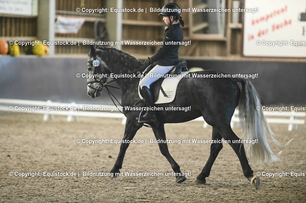 03_Reiter-WB_0199 | Foto: Thomas Hartig