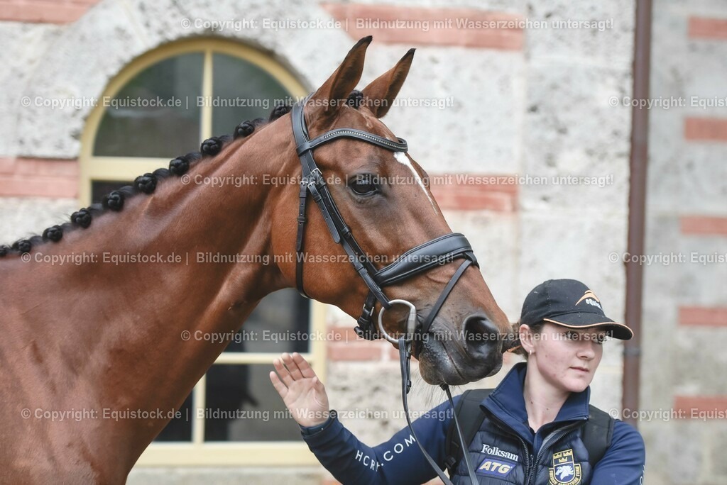 20230514_Impressionen_0161 | equistock