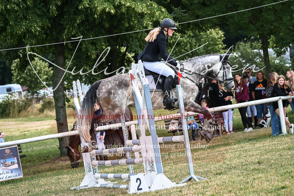 DSC_8366 | Pferde- und Turnierfotografie in Westsachsen. Pferdeportraits, Auftragszeichnungen und intuitive Kunst.