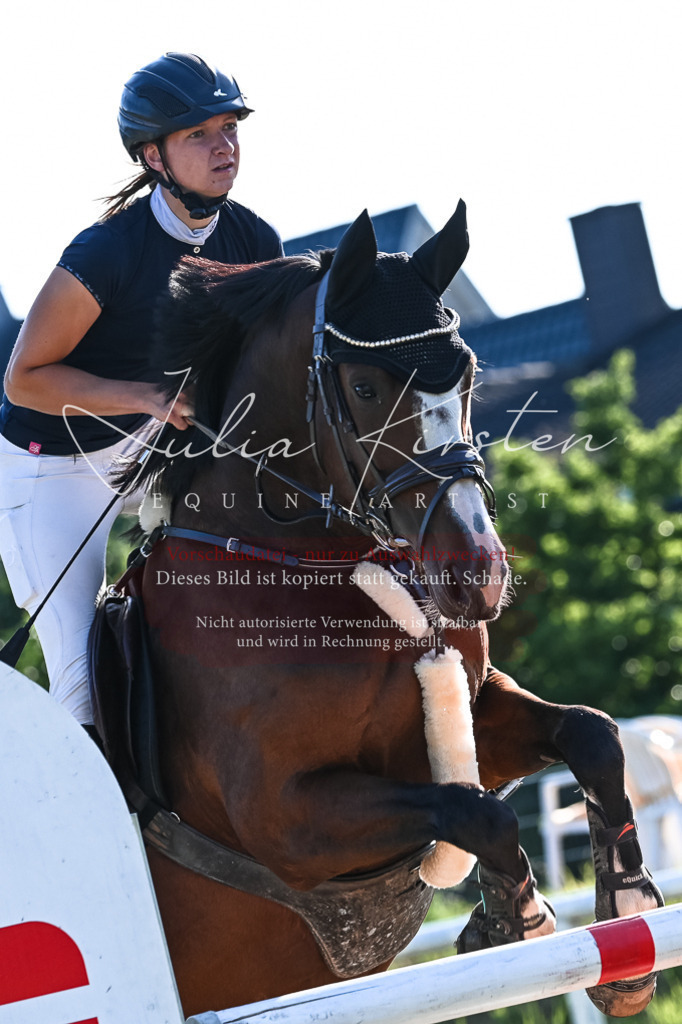 DSC_2884 | Pferde- und Turnierfotografie in Westsachsen. Pferdeportraits, Auftragszeichnungen und intuitive Kunst.