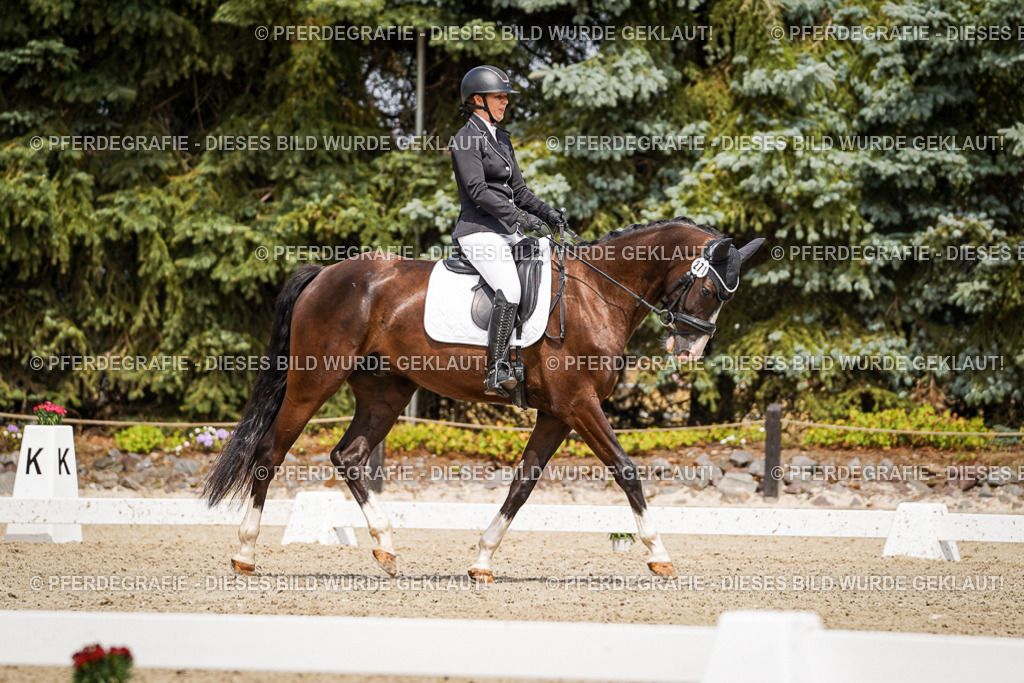 DSC03462 | Pferdegrafie