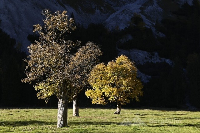 Ahornboden 2025-09 | Landschaftsfotografie Berge Mountain Landscape FotografieNatur Bilder Buidl Bergbuidl Bayern Heimat BergfotografieSonnenaufgang Sonnenuntergang Hobbyfotograf Bilderverkauf Leinwand - Realisiert mit Pictrs.com