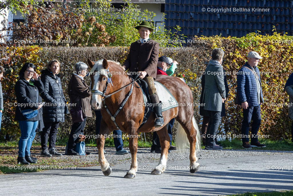 LBT24-716 | foto-bettina-krinner - Realisiert mit Pictrs.com