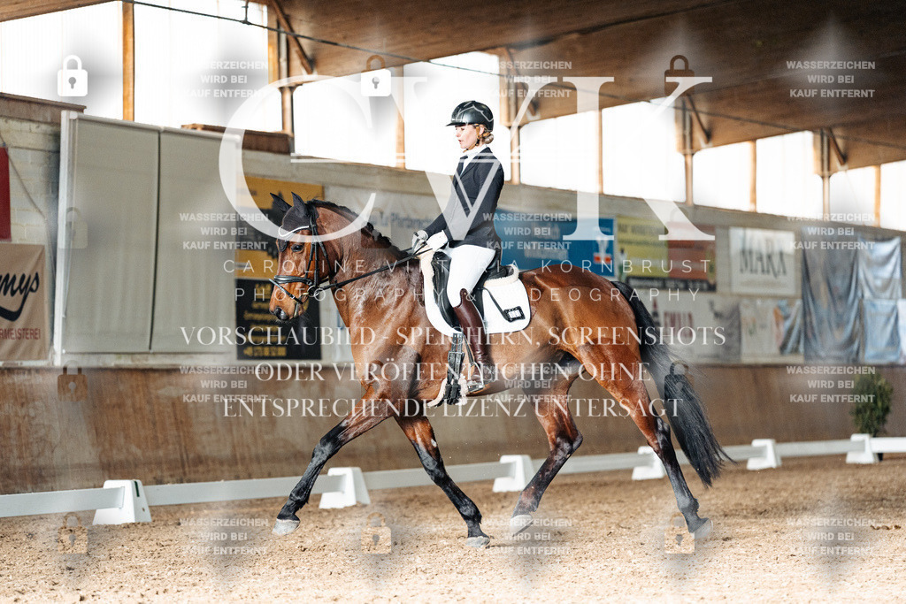 CK903081 | Turnierfotografie Pferdefotografie Trier Rheinland-Pfalz Pferdesport Reitsport Tierfotografie Sportfotografie Pferdevideo Pferdevideografie Equestrianvideography equestrianphotography  - Realisiert mit Pictrs.com