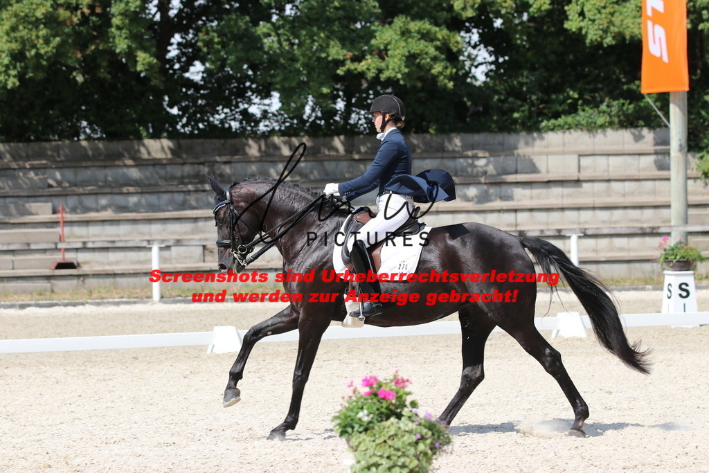 IMG_7050 | lmwpictures - Realisiert mit Pictrs.com