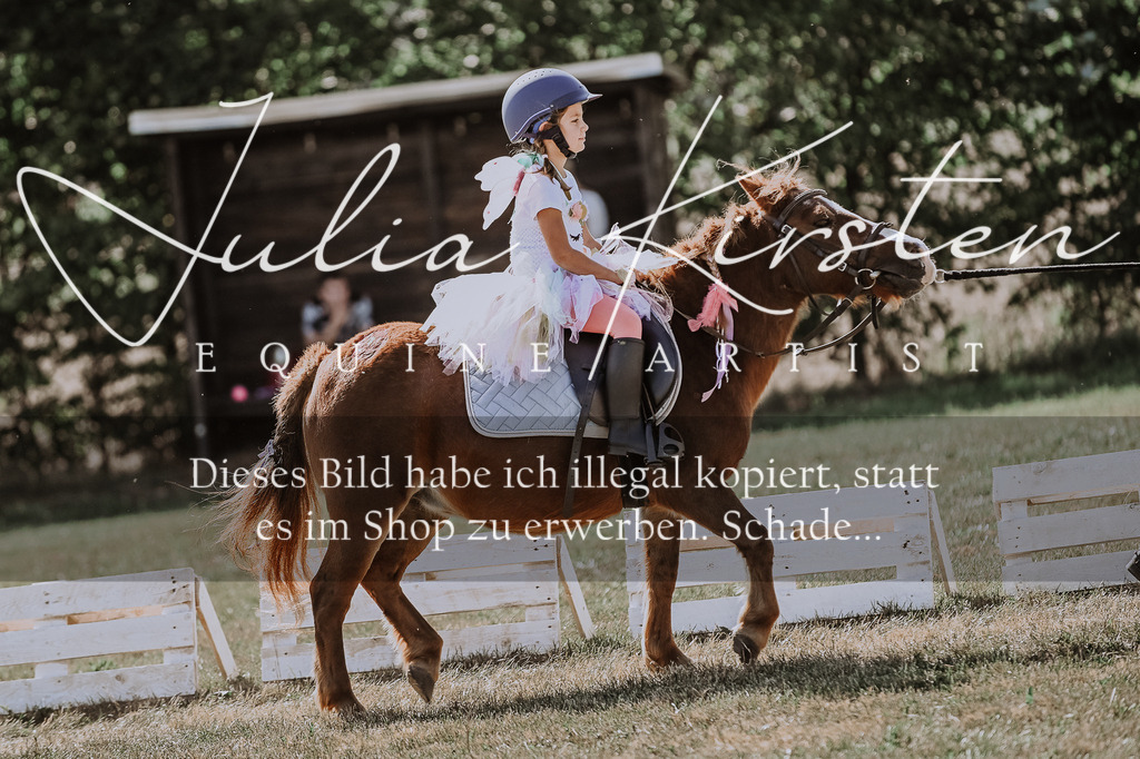 DSC_9173 | Pferde- und Turnierfotografie in Westsachsen. Pferdeportraits, Auftragszeichnungen und intuitive Kunst.