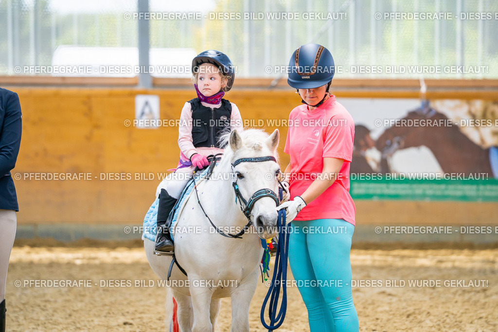 DSC00209 | Pferdegrafie