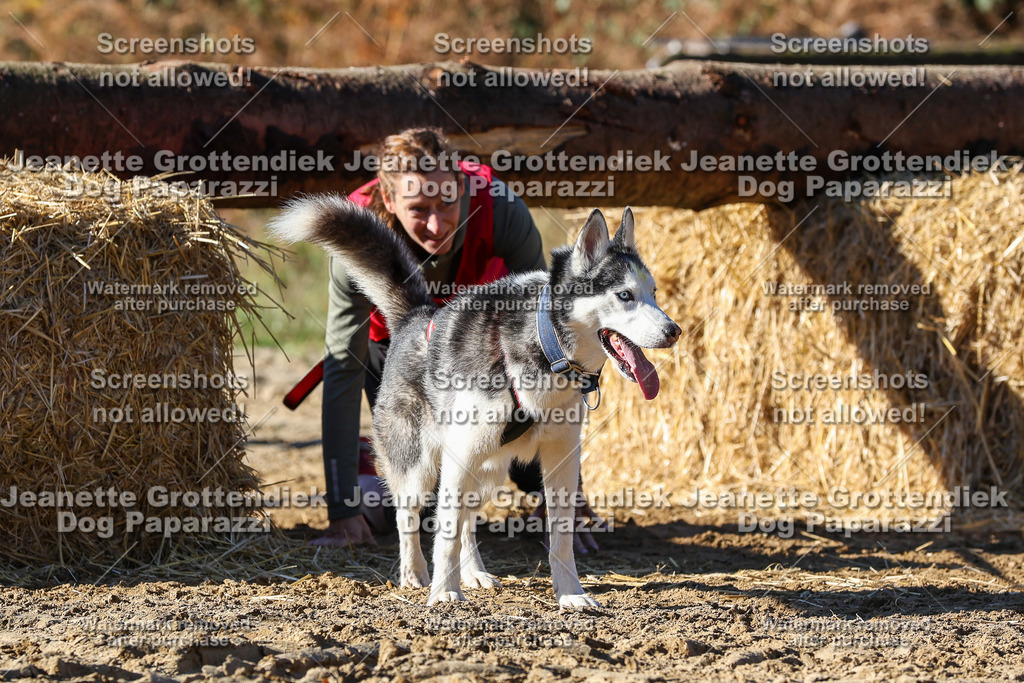 Dog Paparazzi - Strongdog 10-25-2614 | Dog Paparazzi Jeanette Grottendiek Fotografie & Videografie - Realisiert mit Pictrs.com