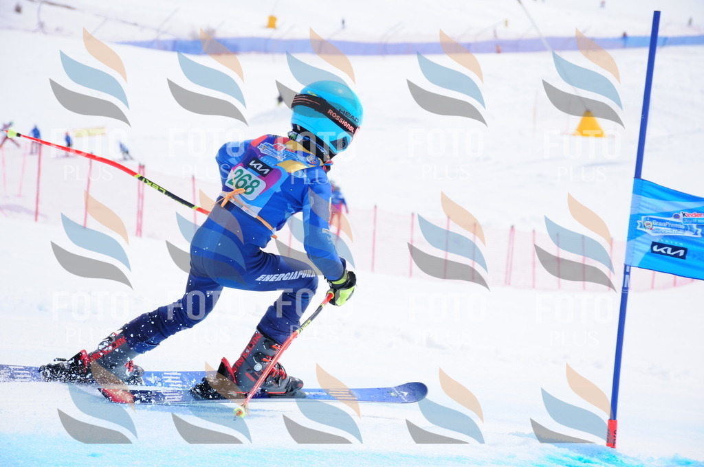 DSC_2560 | holidayphoto