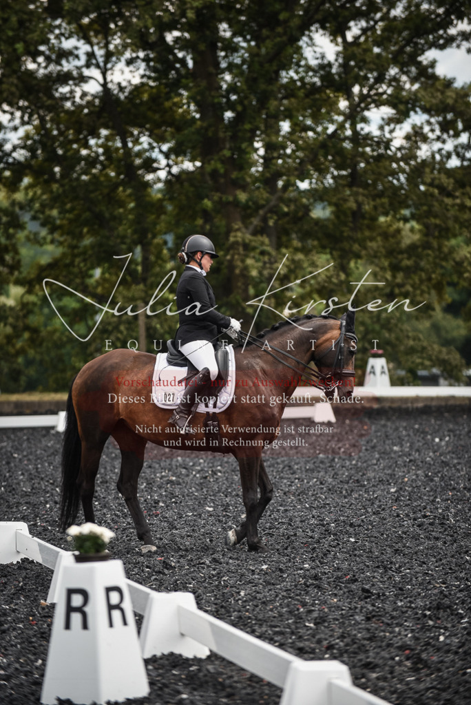 DSC_4876 | Pferde- und Turnierfotografie in Westsachsen. Pferdeportraits, Auftragszeichnungen und intuitive Kunst.