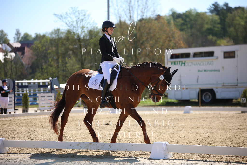 IMGT0737 | pl-fotografie