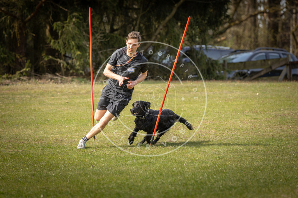 Pfotenfotografie_DV3A9753 | Hundefotografie, Tierfotograf, Pfotenfotografie, Fotoshooting Hund, Hunde Portrait, Hundesport, Hundeportraits, Heideshooting, Hunde, Sportfotograf, Hundefotograf, Turnierhundsport, THS,  - Realisiert mit Pictrs.com