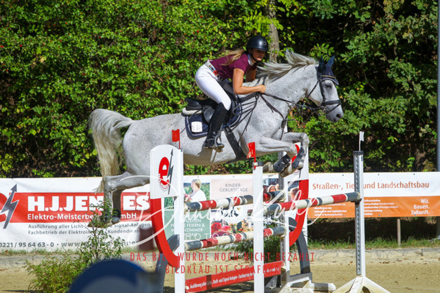 DKP43345 | Turniersportfotografie; Pferdefotografie; Dressurfotografie