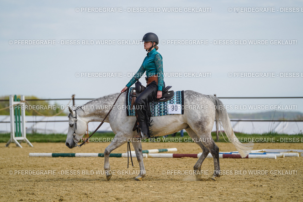 DSC04658 | Pferdegrafie