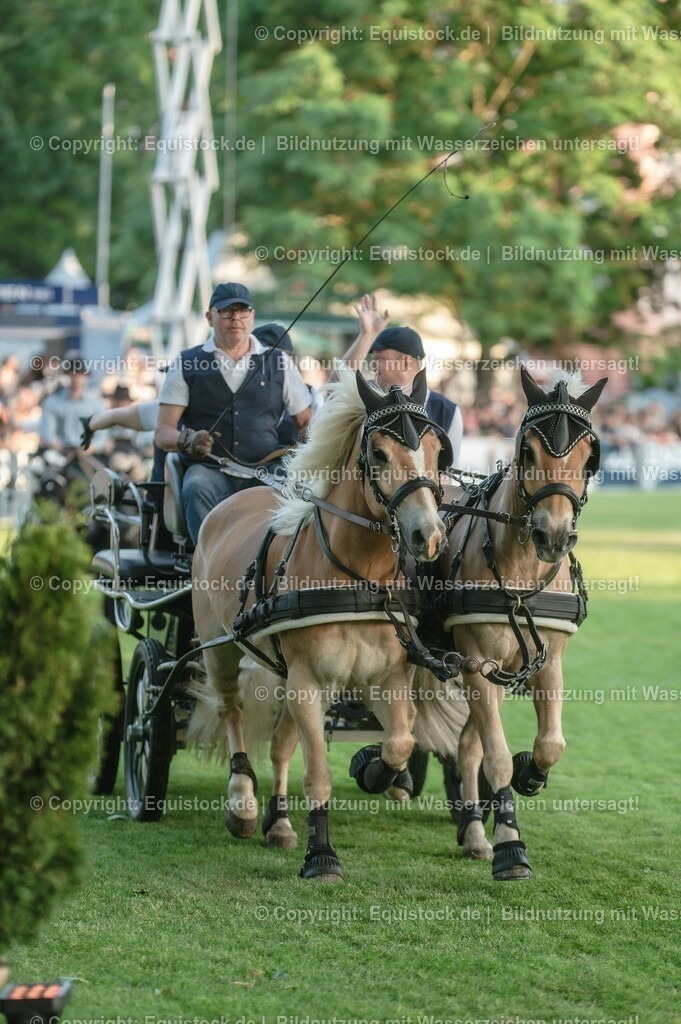 20230526_Pferdenacht_0160 | equistock