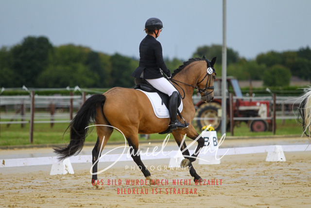 DKP43528 | Turniersportfotografie; Pferdefotografie; Dressurfotografie