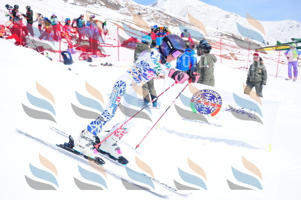 DSC_6451 | holidayphoto