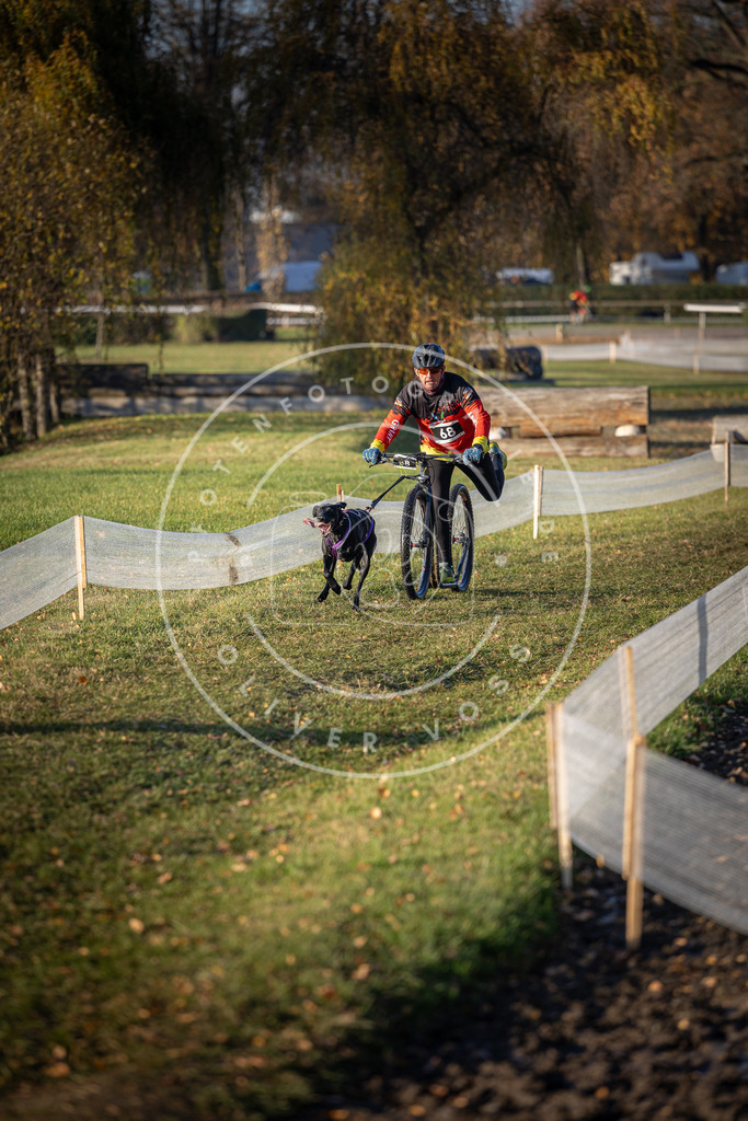 CaniXpix_DV3A1093 | Hundefotografie, Tierfotograf, Pfotenfotografie, Fotoshooting Hund, Hunde Portrait, Hundesport, Hundeportraits, Heideshooting, Hunde, Sportfotograf, Hundefotograf, Turnierhundsport, THS,  - Realisiert mit Pictrs.com