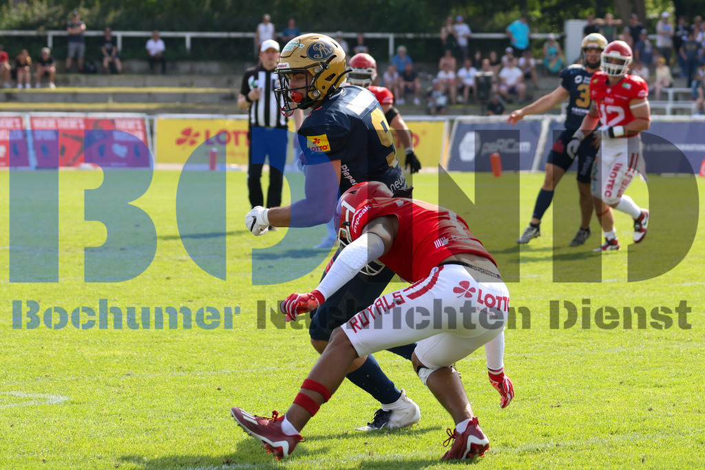 GFL: Potsdam Royals vs. Dresden Monarchs{date} -  | {headline}(Foto: Thomas Sobotzki / BOND) - Realisiert mit Pictrs.com