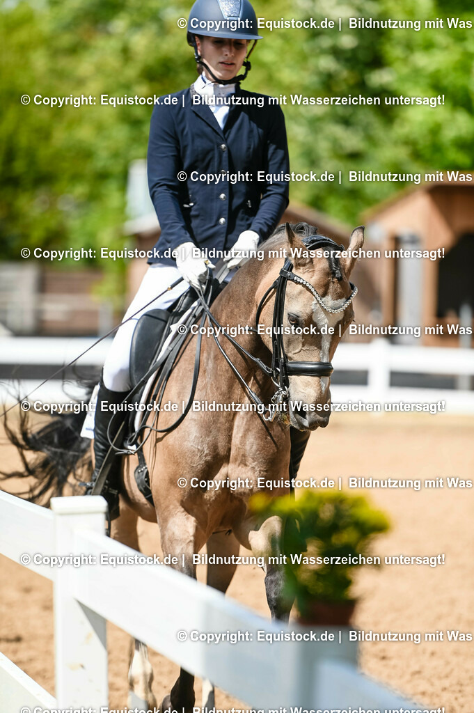 20230716_01_Dressurprüfung Kl.M_0215 | equistock