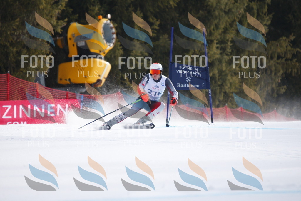 D8306 | holidayphoto