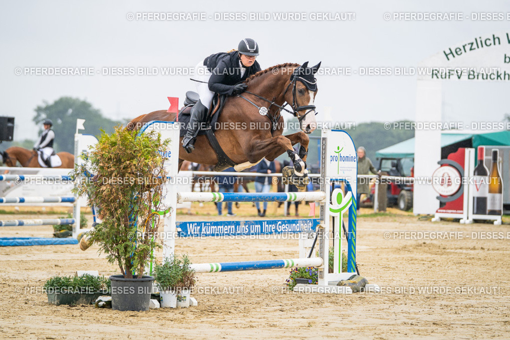 DSC01652 | Pferdegrafie