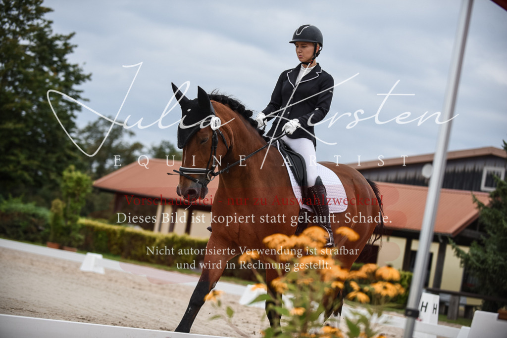 DSC_8276 | Pferde- und Turnierfotografie in Westsachsen. Pferdeportraits, Auftragszeichnungen und intuitive Kunst.