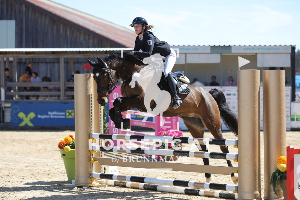 0P6A7822 | Willkommen bei Brunnmayr - Design & Fotografie – Ihrem Spezialisten für Reitturniere und Pferdeveranstaltungen in Oberösterreich, Salzburg und Bayern! Seit über 17 Jahren sind wir leidenschaftlich dabei.