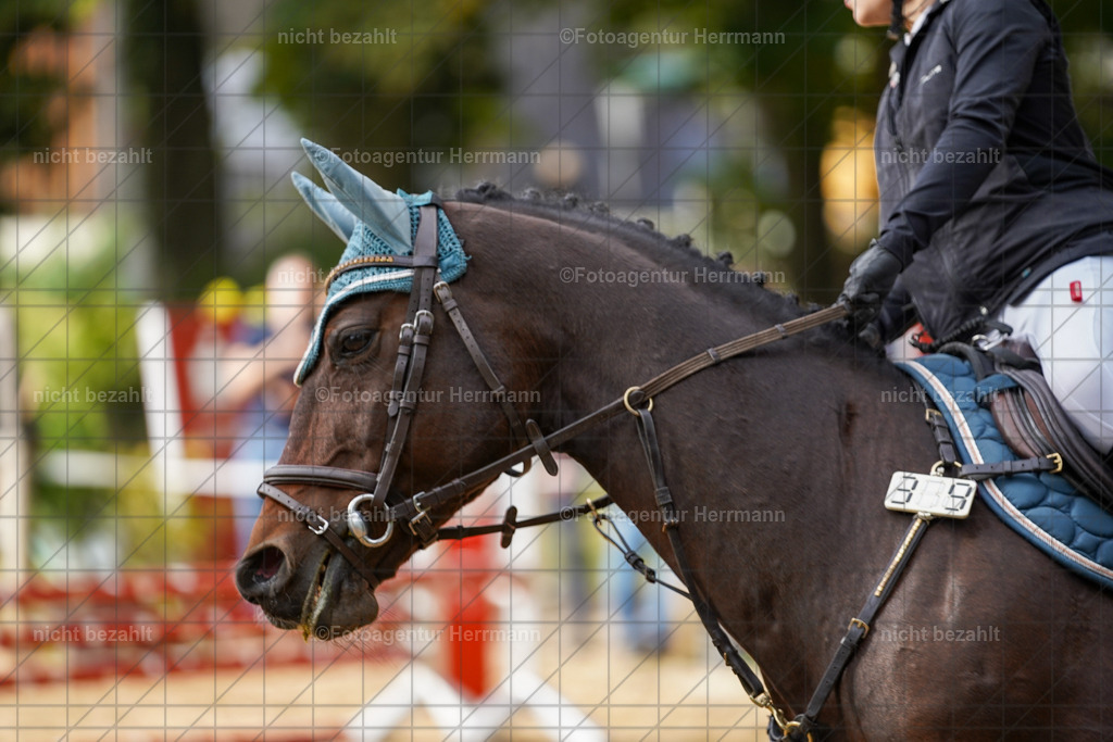 20231008-SN_01220 | Diessen am Ammersee, 2023, Dressur- und Springturnier, Reitsport, Turnierfotografie, Pferdebilder, Reitbilder, Turnierfotografen Bayern, Fotoagentur Herrmann
