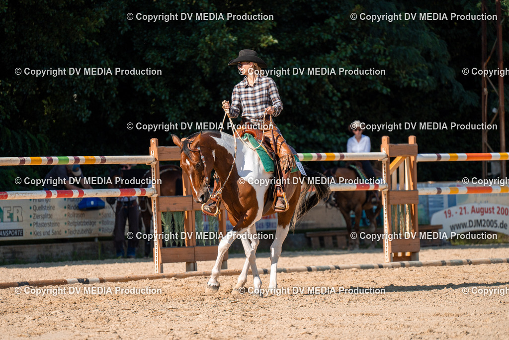 ZH100800 | dv-media-shop - Realisiert mit Pictrs.com