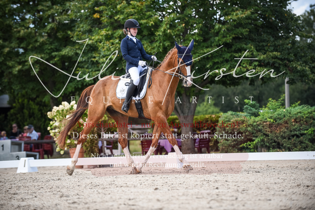 DSC_9370 | Pferde- und Turnierfotografie in Westsachsen. Pferdeportraits, Auftragszeichnungen und intuitive Kunst.