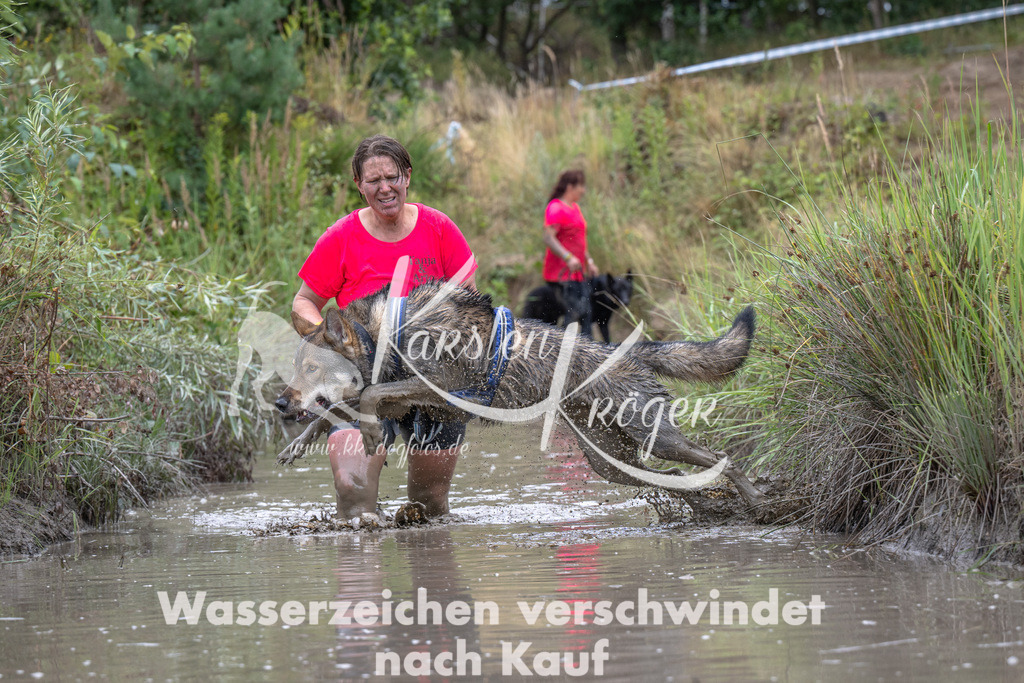 1228_ZZ99166 | kk-dogfotos