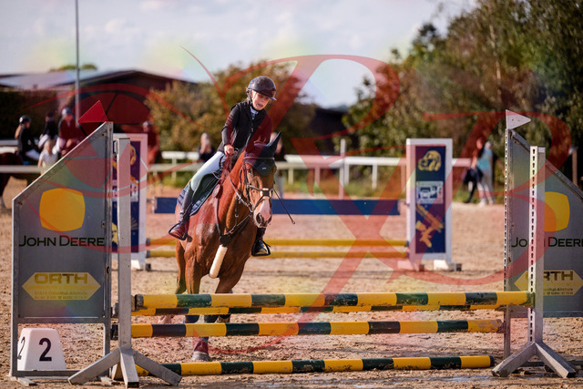 2026_10_03_Siefer-Hof_154630_Z81_65090575 | Professionelle Reitsport-, Turnier- und Eventfotografie von Robert Broda. Galerien mit ausgewählten und bearbeiteten Bildern direkt online ansehen und bestellen.
