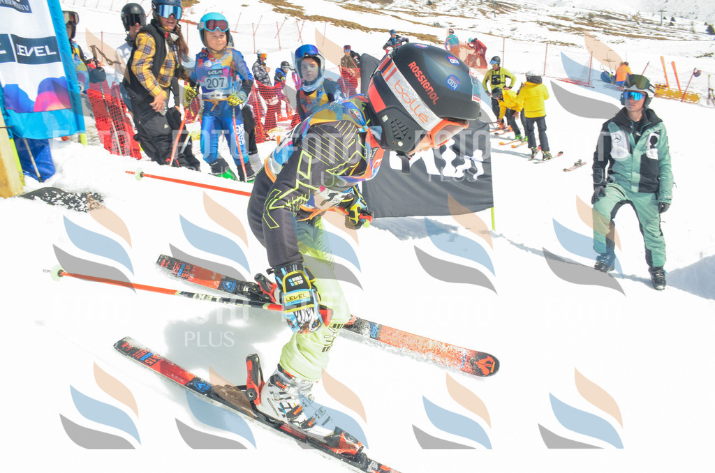 _ELE6538 | holidayphoto