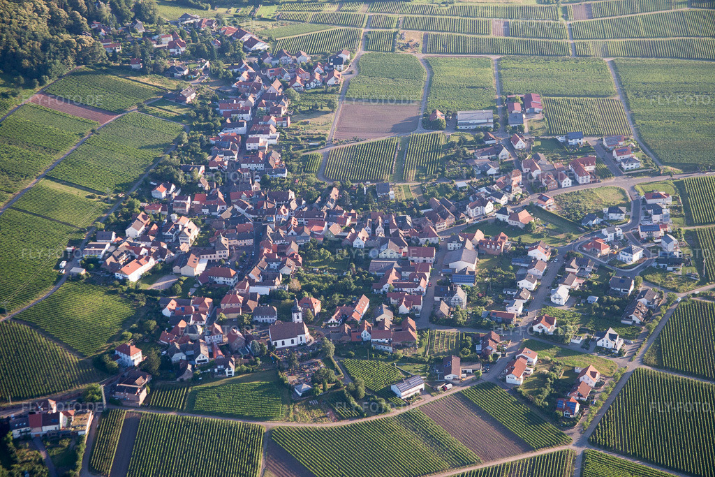 Luftbild: Winzerdorf aus Süden in Weyher in der Pfalz im Bundesland Rheinland-Pfalz in Deutschland. Foto: IMG_091621.jpg vom 10.07.2016 durch Werner Riehm/FLY-FOTO.de