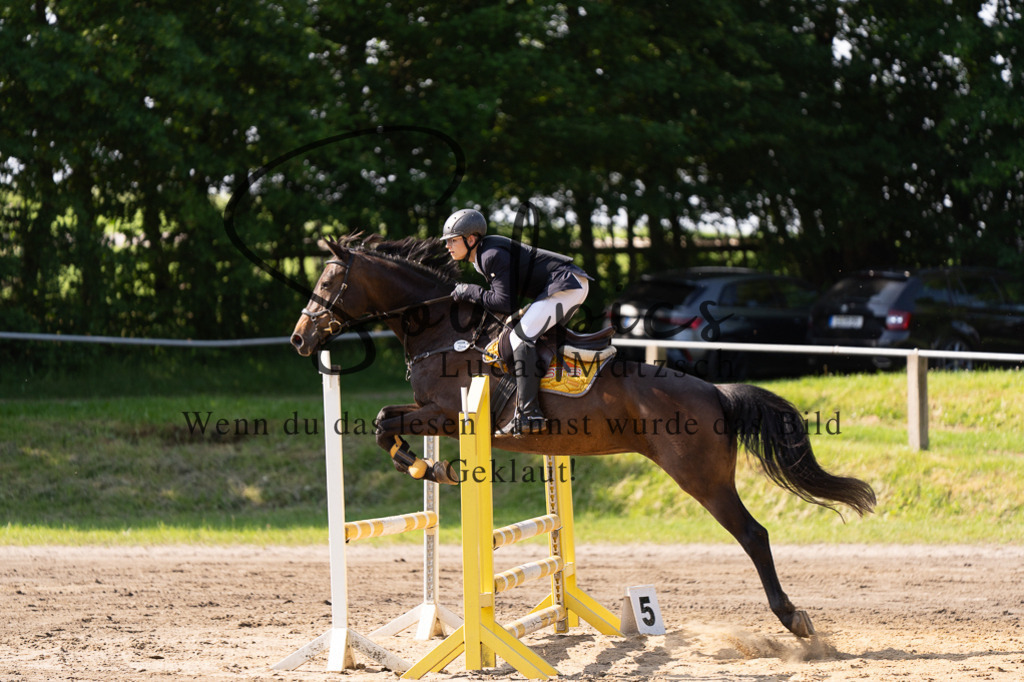 A7507283 | Turnier/Reitfotograf