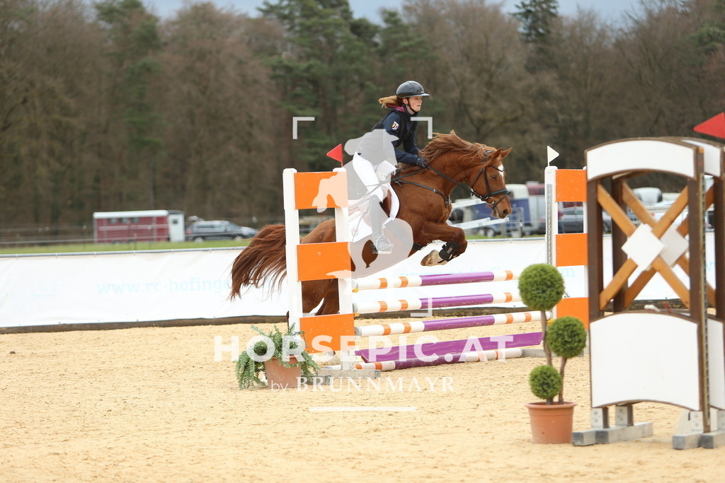 DL2Q1671 | Willkommen bei Brunnmayr - Design & Fotografie – Ihrem Spezialisten für Reitturniere und Pferdeveranstaltungen in Oberösterreich, Salzburg und Bayern! Seit über 17 Jahren sind wir leidenschaftlich dabei.