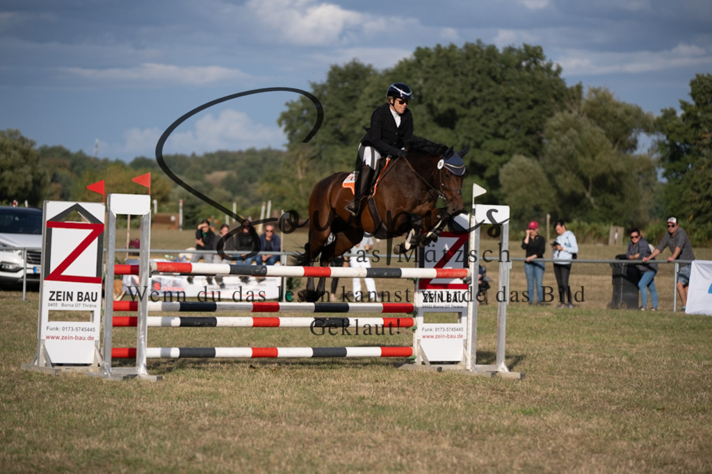 A7V09852 | Pferdefotograf