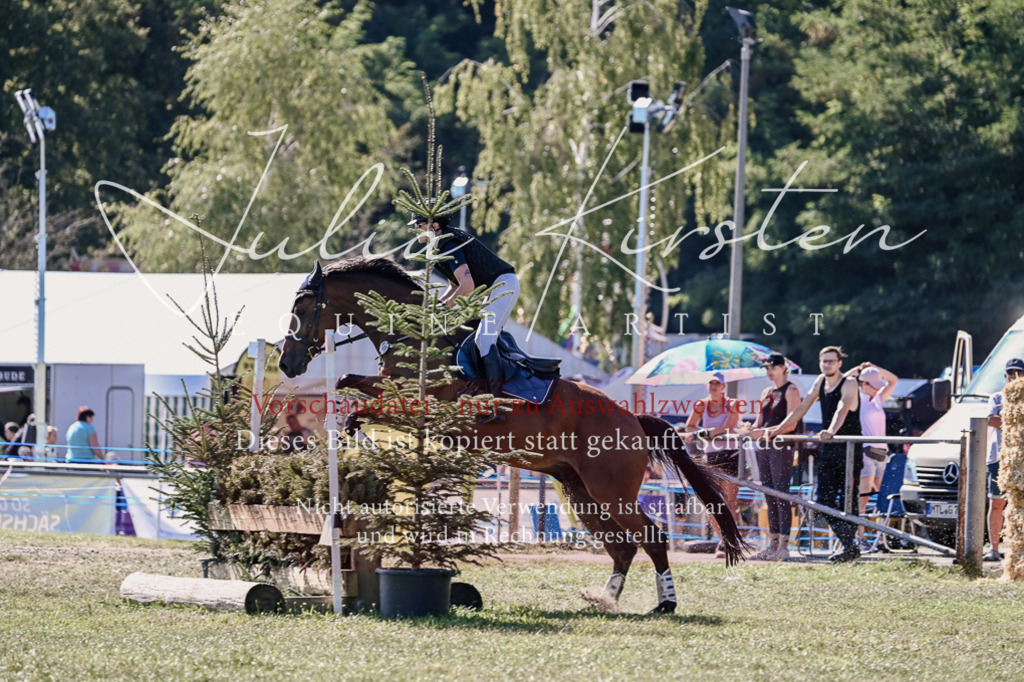 DSC_3390 | Pferde- und Turnierfotografie in Westsachsen. Pferdeportraits, Auftragszeichnungen und intuitive Kunst.