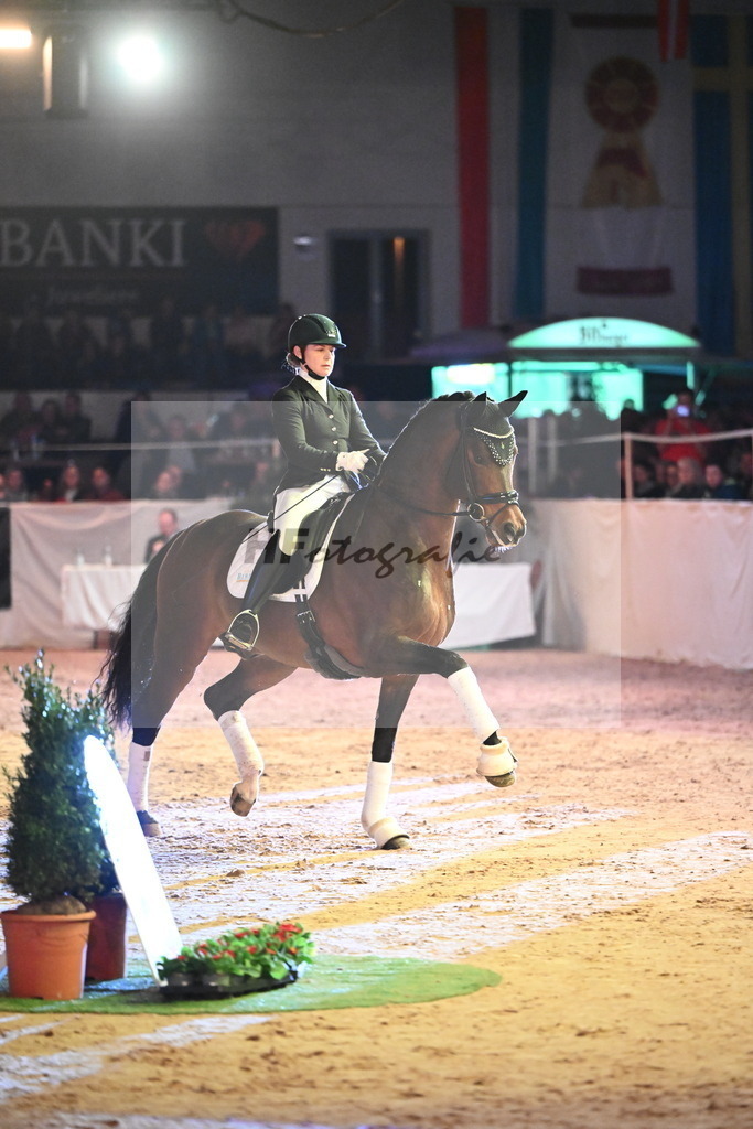 Vangelis_2242087 | hf-fotografie - Realisiert mit Pictrs.com