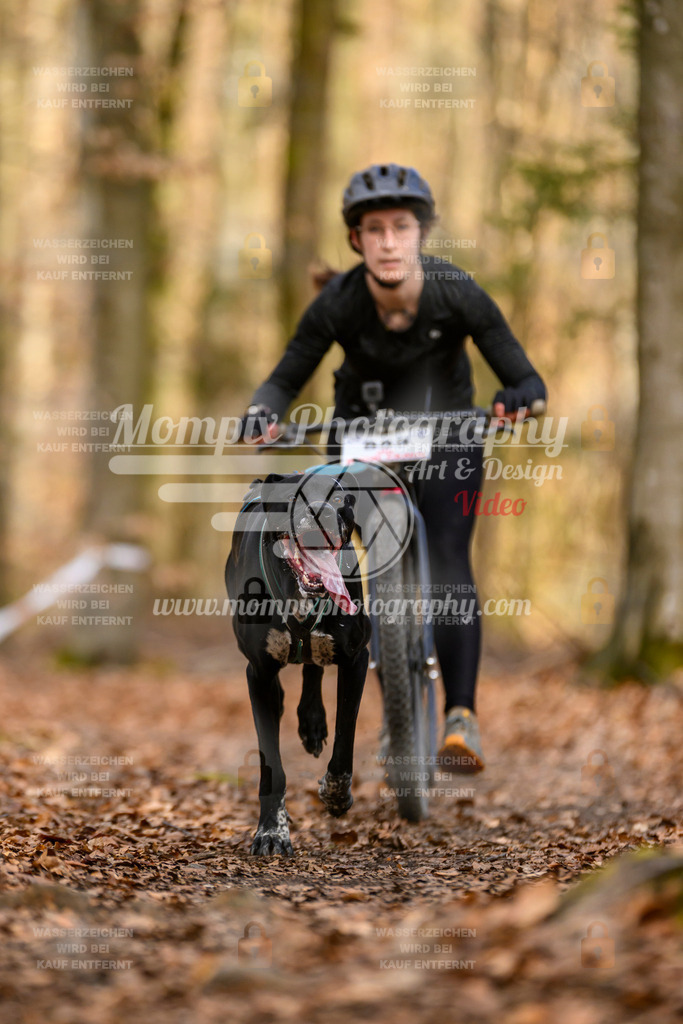 MompixPhotography_Habay2025_SA_SCO-35 | PayLife