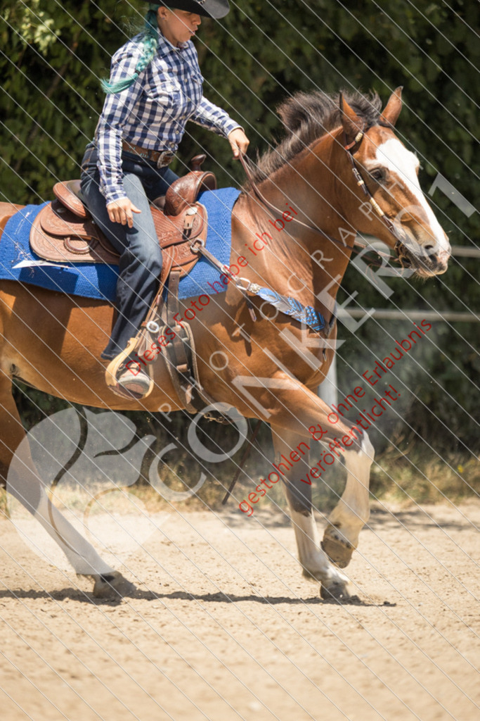 IMG_0298 | Sport-, Event- und Tierfotos in Profiqualität. Einfach auswählen, bestellen und herunterladen. Dein Moment – perfekt festgehalten.