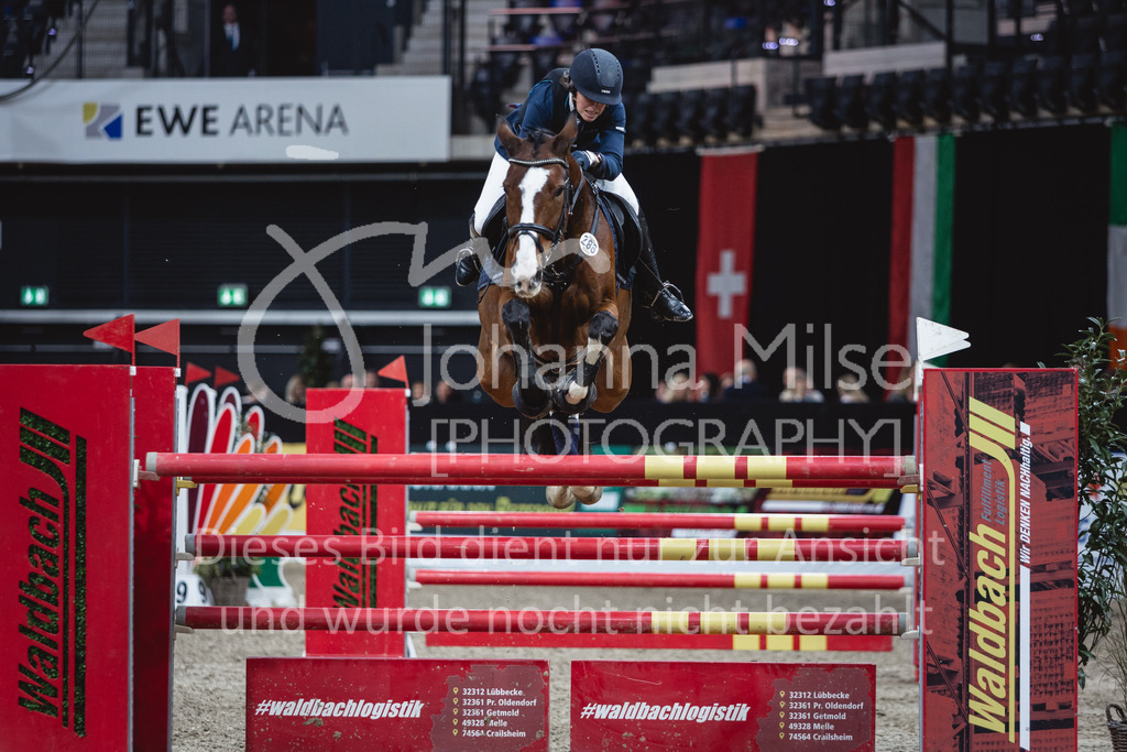 231028_Oldenburg_S1-Spr_Amateure-201 | Deine schönsten Turniermomente als professionelle Fotos! Entdecke hochwertige Pferdesport-Fotografie im Online-Shop. Jetzt Fotos finden & bestellen!