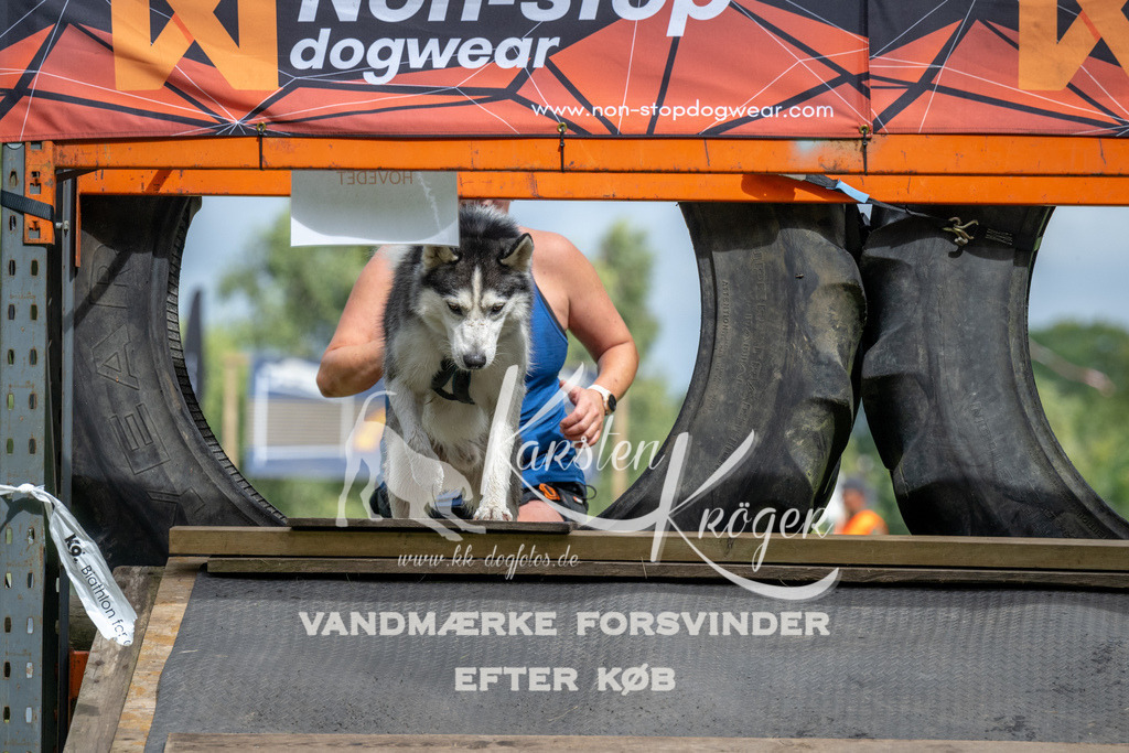 1147_ZZ92961 | kk-dogfotos
