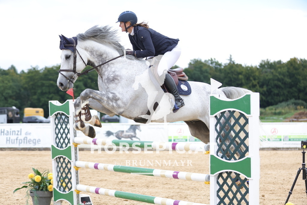 0P6A8768 | Willkommen bei Brunnmayr - Design & Fotografie – Ihrem Spezialisten für Reitturniere und Pferdeveranstaltungen in Oberösterreich, Salzburg und Bayern! Seit über 17 Jahren sind wir leidenschaftlich dabei.