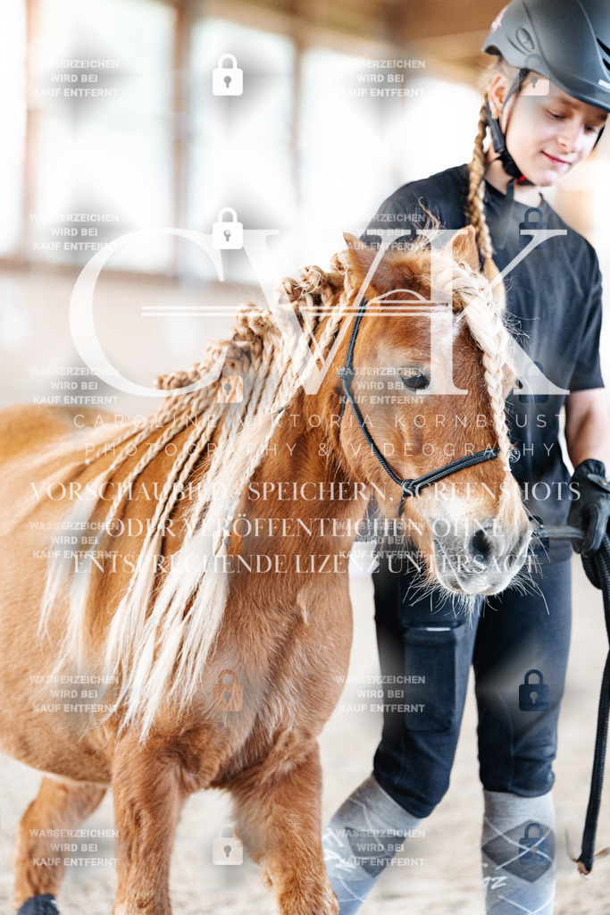 CK905278 | Turnierfotografie Pferdefotografie Trier Rheinland-Pfalz Pferdesport Reitsport Tierfotografie Sportfotografie Pferdevideo Pferdevideografie Equestrianvideography equestrianphotography  - Realisiert mit Pictrs.com