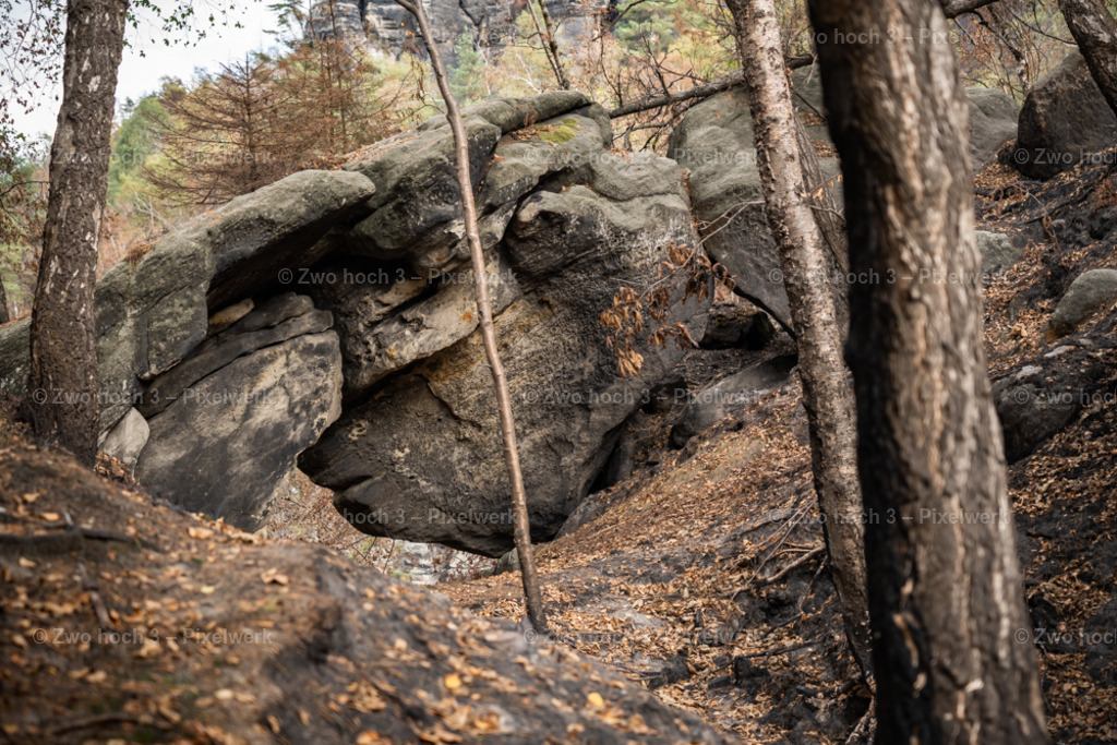 Obere_Affensteinpromenade_Siegfried_Bergfried_Felsentor_Laub | 2022-09-02_Waldbrandgebiete_2 - Realisiert mit Pictrs.com