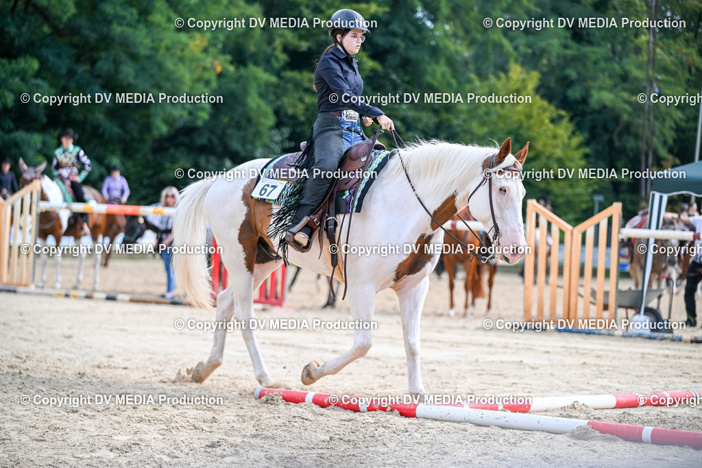 ZS2_3545 | dv-media-shop - Realisiert mit Pictrs.com